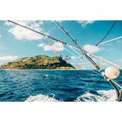 Shimano Tiagra WA TI50W LRSA Overhead Reel -Fishing Storage Shop BCF 136208 07 hi res