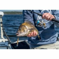 Daiwa Freams LT Spinning Reel 2000S -Fishing Storage Shop BCF 613014 06 hi res