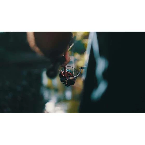 Daiwa Revelry 4000D-CXH HD MQ Spinning Reel 4 Daiwa Revelry 4000D-CXH HD MQ Spinning Reel - Image 4