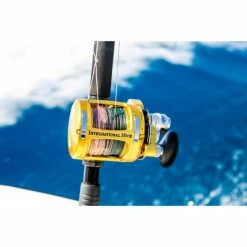 Penn International 30VISW Overhead Reel -Fishing Storage Shop BCF 622401 06 hi res